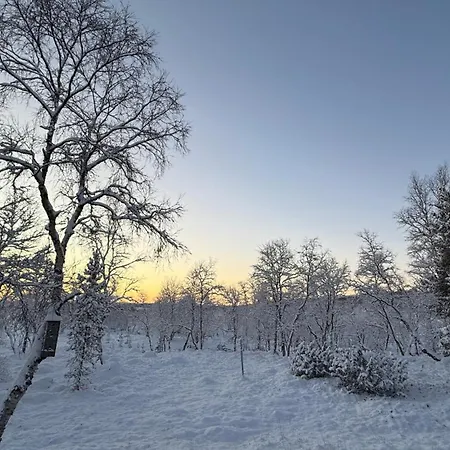 Arctic Raja Inn, Next To Norwegian Border Naatamo