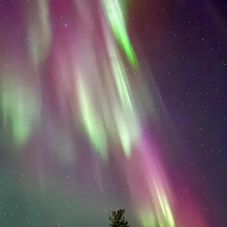 Arctic Raja Inn, Next To Norwegian Border 여관