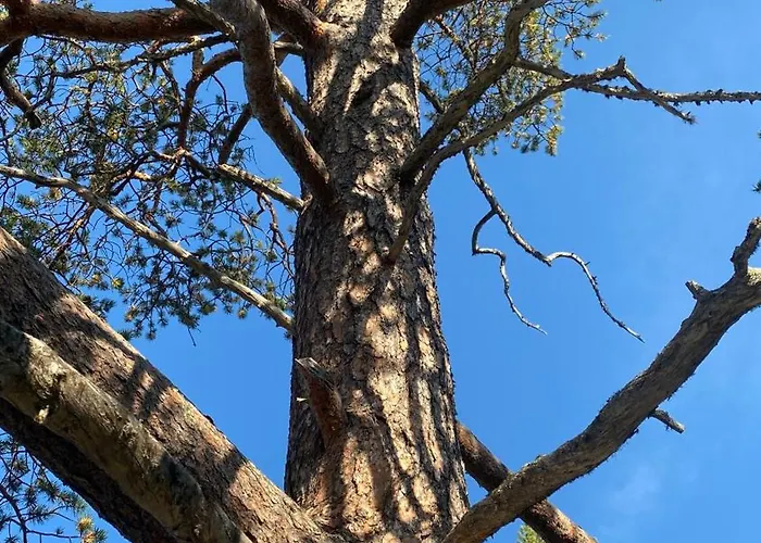 Arctic Raja Inn, Next To Norwegian Border אורחן Naatamo