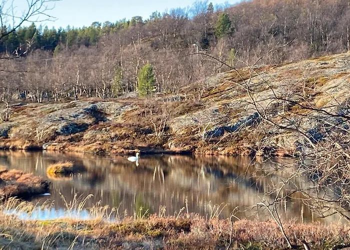 Arctic Raja Inn, Next To Norwegian Border Mini-hôtel