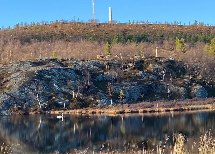 Mini-hôtel Arctic Raja Inn, Next To Norwegian Border