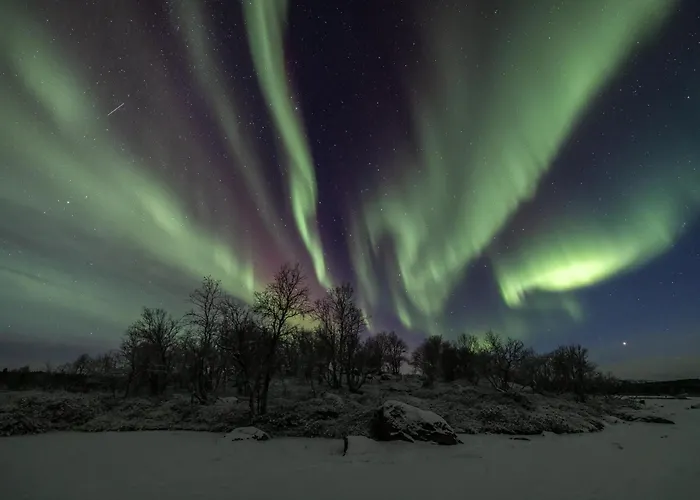 אורחן Arctic Raja Inn, Next To Norwegian Border