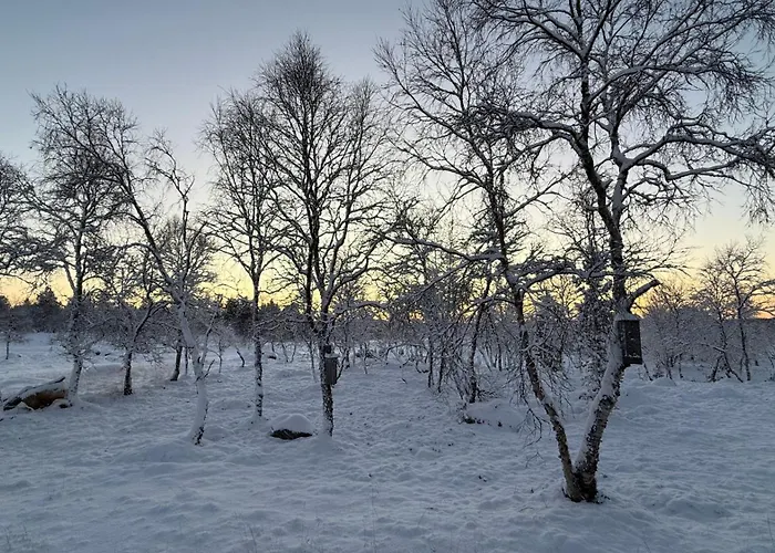 אורחן Arctic Raja Inn, Next To Norwegian Border Naatamo
